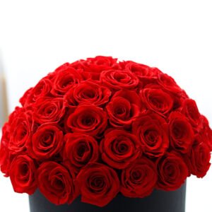 Bucket Rose Flower Box – Creative Gift for Valentine's Day & Christmas