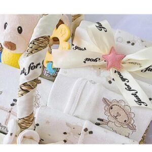 Newborn Boy Baby Clothes Set Gift Box – Soft & Adorable Clothing Bundle