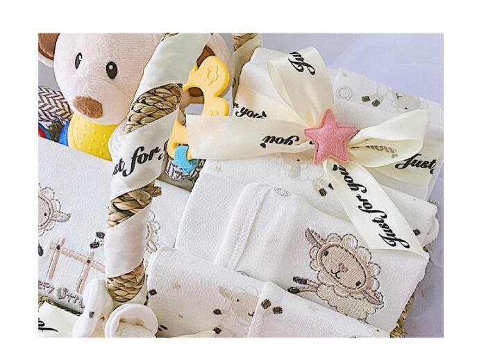 Newborn Boy Baby Clothes Set Gift Box – Soft & Adorable Clothing Bundle