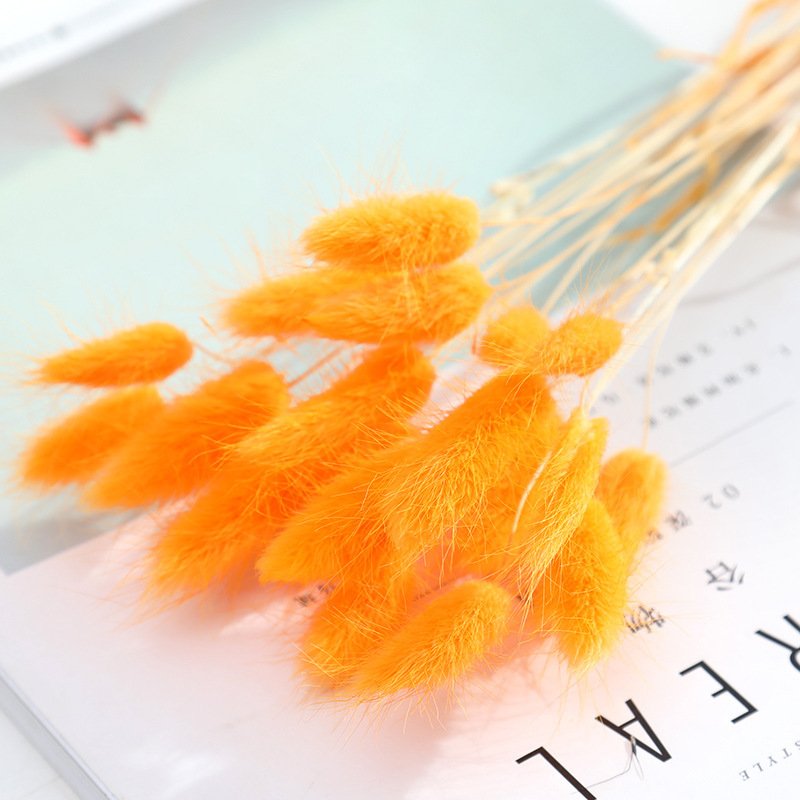 Home Decoration Ornaments – Rabbit Tail Grass Dried Flower Bouquet for Rustic Decor