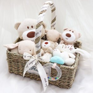 Newborn Baby Toy Set Gift Box – Adorable & Engaging Toys for Infants