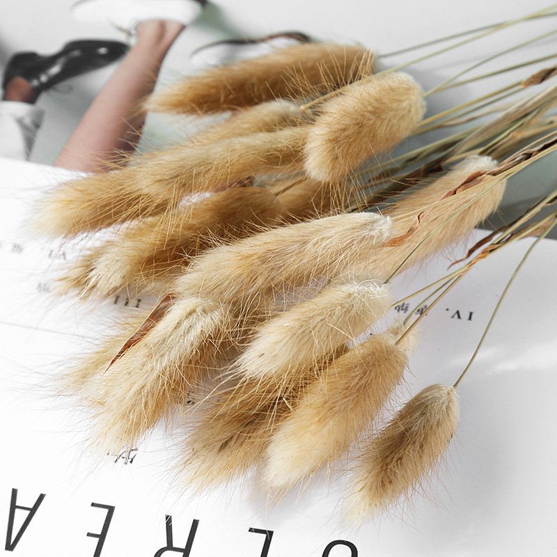 Home Decoration Ornaments – Rabbit Tail Grass Dried Flower Bouquet for Rustic Decor
