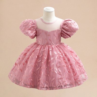 Girls Embroidered Princess Party Dress – Elegant Mesh Evening Gown (0-4 Years)