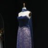 Luxury Beaded Purple Velvet Two Pieces Evening Dress