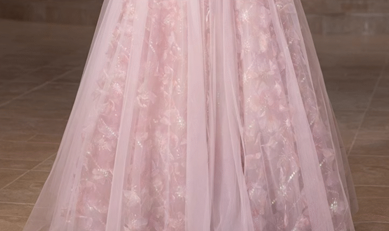 Chic Blushing Pink Applique A-Line Prom Dress – Elegant Evening Gown